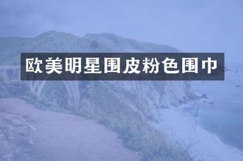 欧美明星围皮粉色围巾