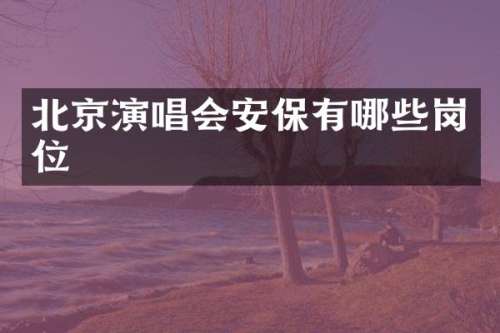 北京演唱会安保有哪些岗位