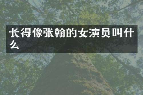 长得像张翰的女演员叫什么