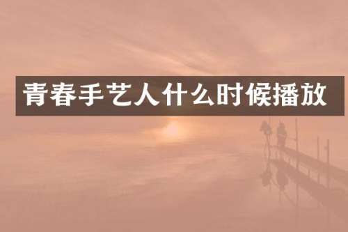 青春手艺人什么时候播放