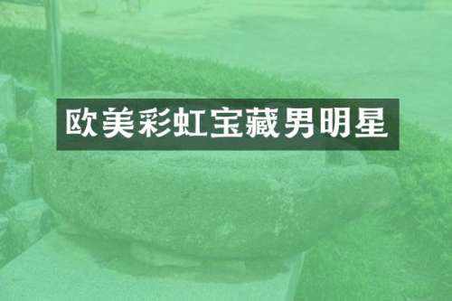 欧美彩虹宝藏男明星