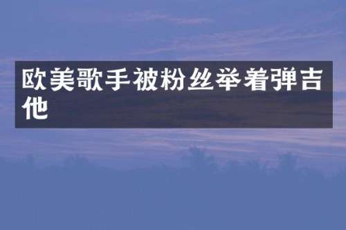 欧美歌手被粉丝举着弹吉他