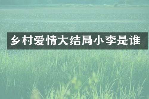 乡村爱情大结局小李是谁