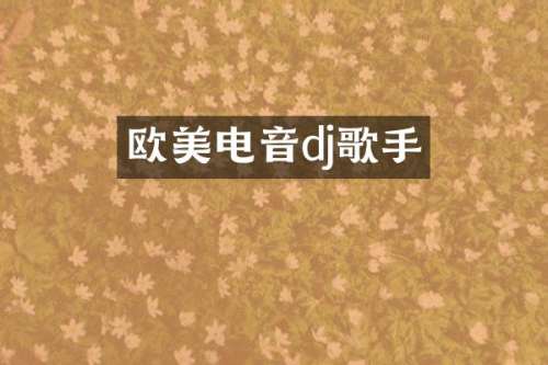 欧美电音dj歌手