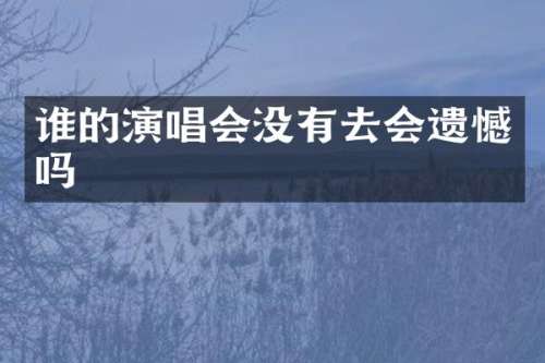 谁的演唱会没有去会遗憾吗