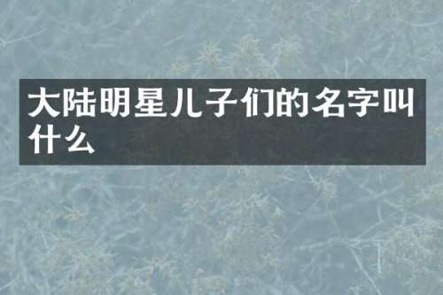 大陆明星儿子们的名字叫什么