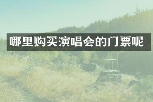 哪里购买演唱会的门票呢