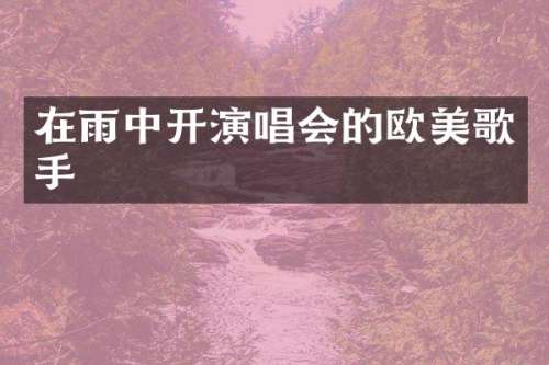 在雨中开演唱会的欧美歌手