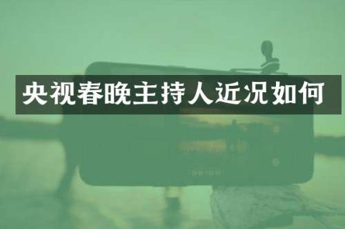 央视主持人近况如何