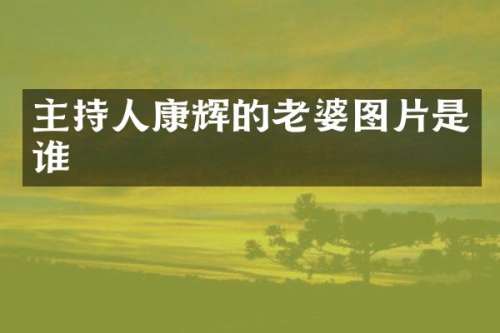 主持人康辉的老婆图片是谁