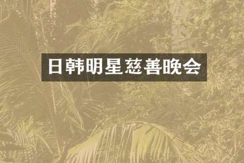 日韩明星慈善晚会