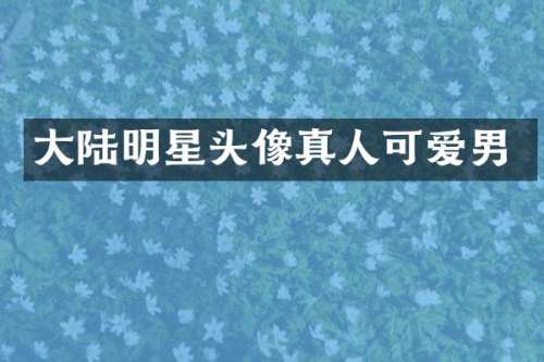 大陆明星头像真人可爱男