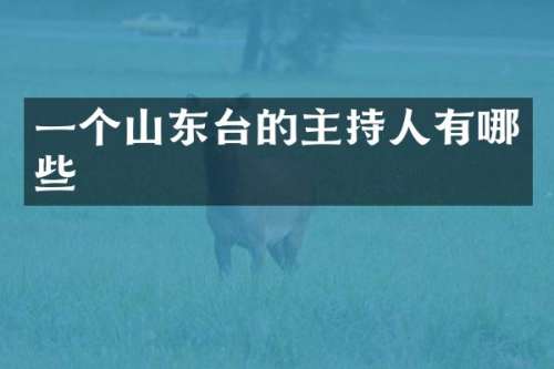 一个山东台的主持人有哪些