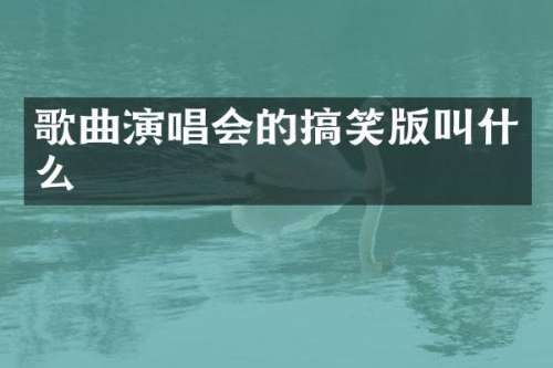 歌曲演唱会的搞笑版叫什么