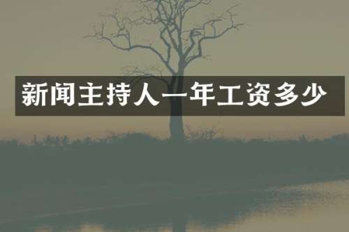 新闻主持人一年工资多少