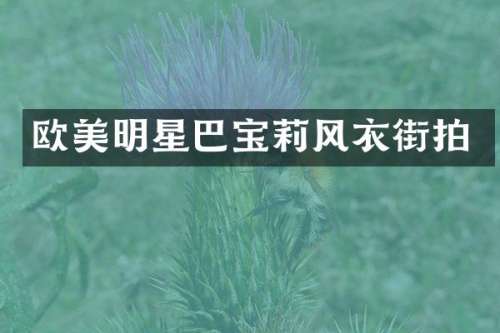欧美明星巴宝莉风衣街拍