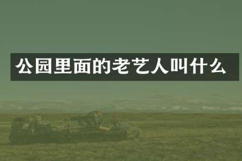 公园里面的老艺人叫什么