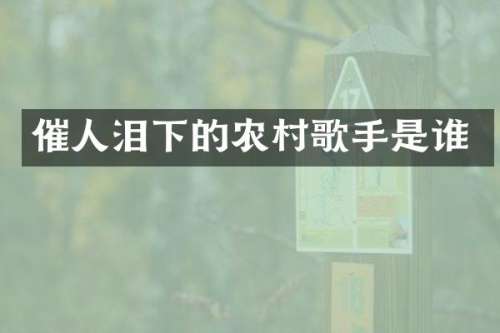 催人泪下的农村歌手是谁