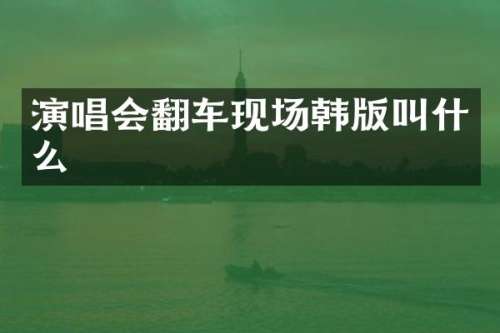 演唱会翻车现场韩版叫什么