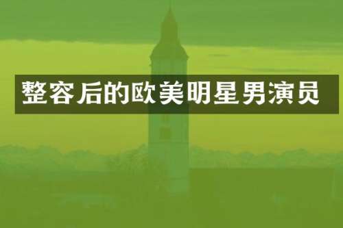 整容后的欧美明星男演员