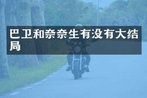 巴卫和奈奈生有没有大结局
