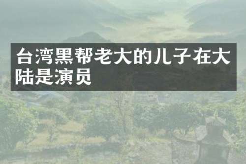 台湾黑帮老大的儿子在大陆是演员