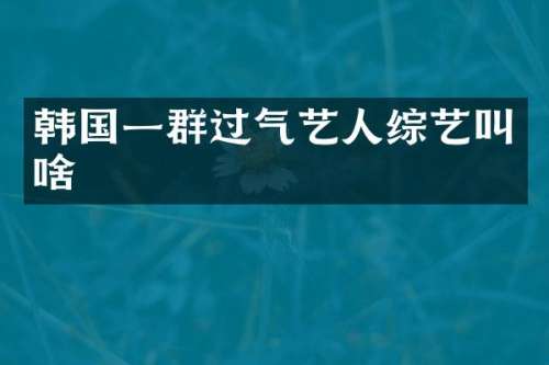 韩国一群过气艺人综艺叫啥