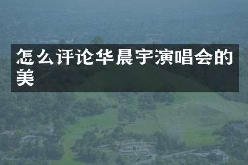怎么评论华晨宇演唱会的美