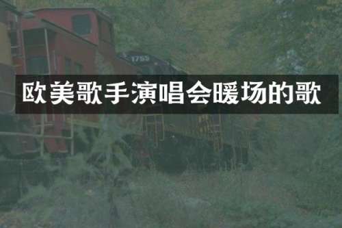 欧美歌手演唱会暖场的歌