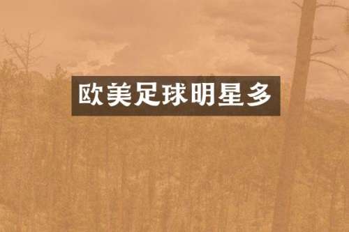 欧美足球明星多