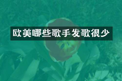 欧美哪些歌手发歌很少