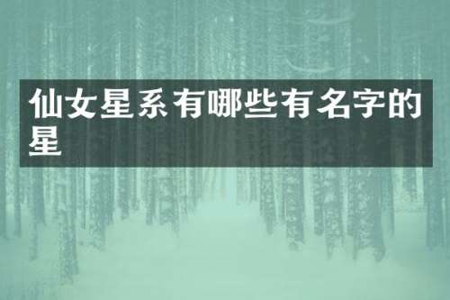 仙女星系有哪些有名字的星