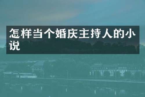 怎样当个婚庆主持人的小说