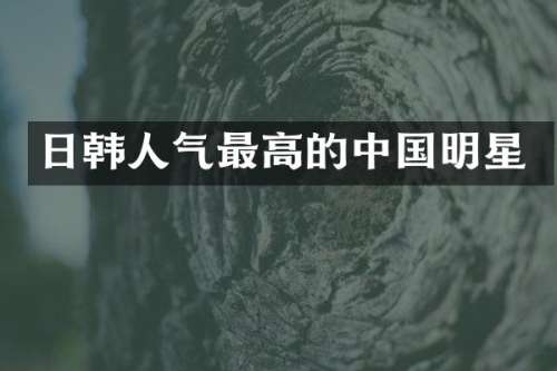 日韩人气最高的中国明星