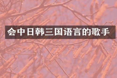 会中日韩三国语言的歌手