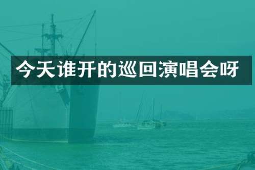 今天谁开的巡回演唱会呀