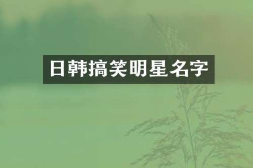 日韩搞笑明星名字