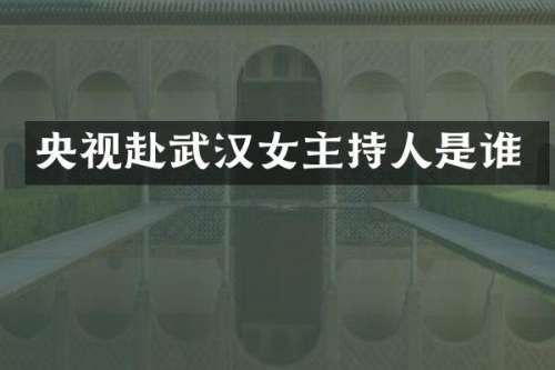 央视赴武汉女主持人是谁