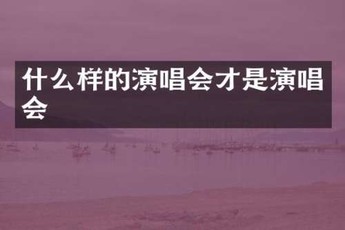 什么样的演唱会才是演唱会