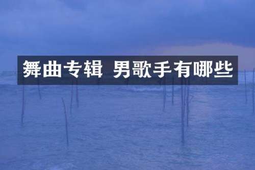 舞曲专辑 男歌手有哪些