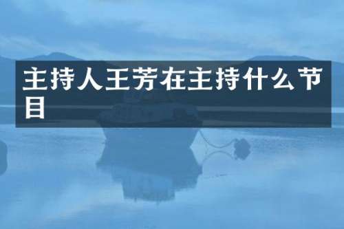 主持人王芳在主持什么节目