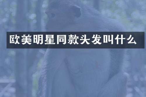 欧美明星同款头发叫什么