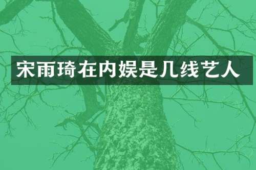 宋雨琦在内娱是几线艺人