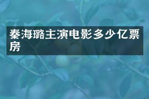 秦海璐主演电影多少亿票房
