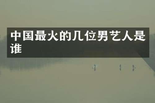 中国最火的几位男艺人是谁
