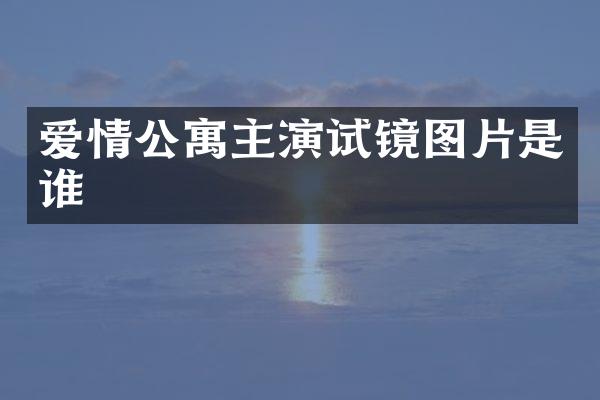 爱情公寓主演试镜图片是谁