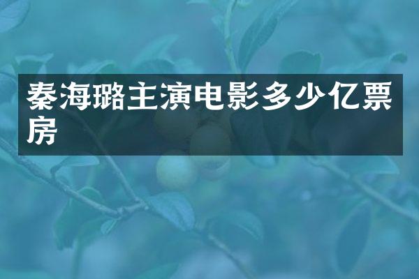 秦海璐主演电影多少亿票房