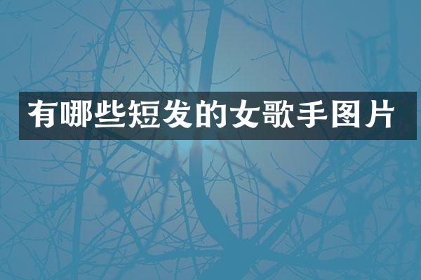 有哪些短发的女歌手图片