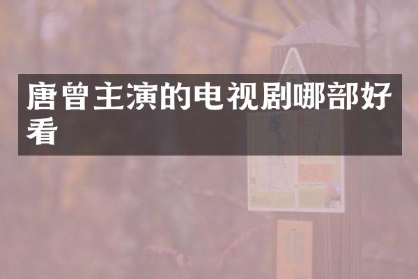 唐曾主演的电视剧哪部好看