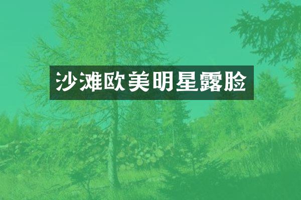 沙滩欧美明星脸